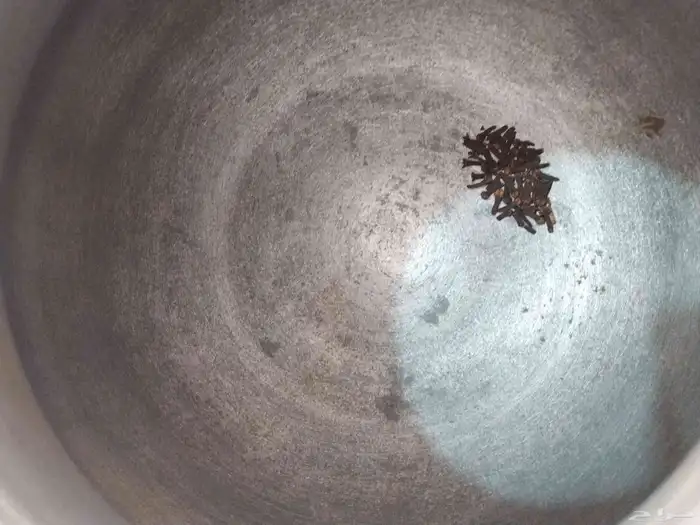 قدر أفغاني وكاللله 1