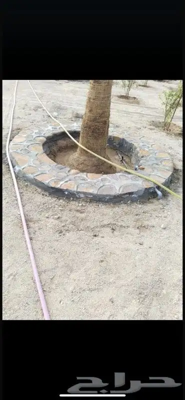 معلم حجر رباريب ممرات قوايم تلابيس جدران 3