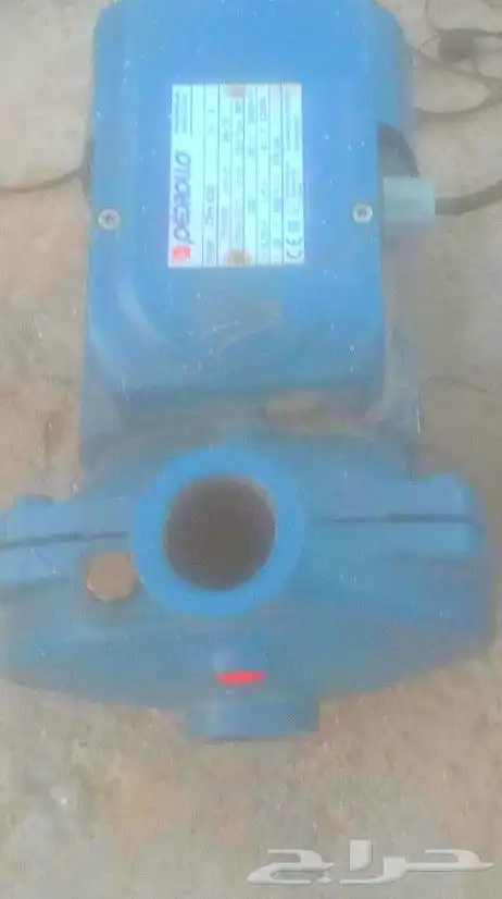 دلمو ماء واحد حصان إيطالي للبيع على اسوم 1