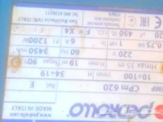 دلمو ماء واحد حصان إيطالي للبيع على اسوم 0