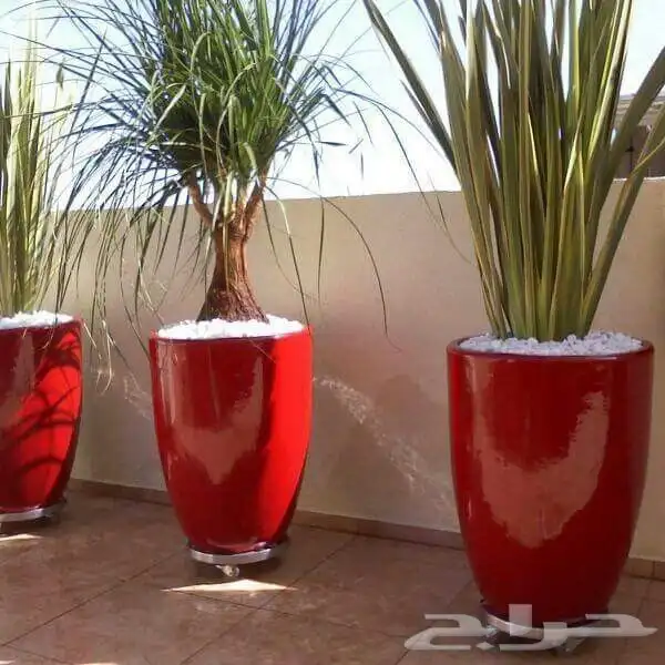 مراكن زرع نوافير شلالات 1