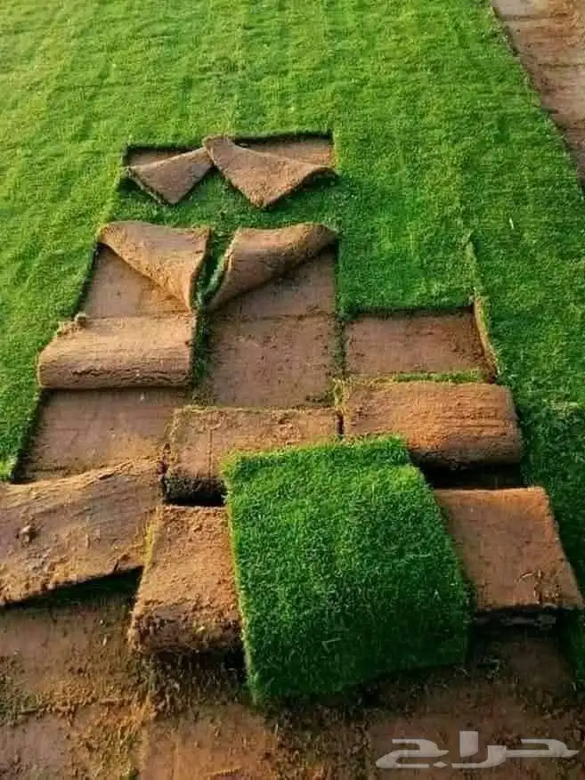 مشتل تنسيق الحدائق 3