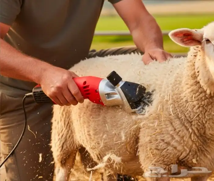 للبيع 5 حبات من ماكينة حلاقة وقص شعر الحيوانات والحلال 0