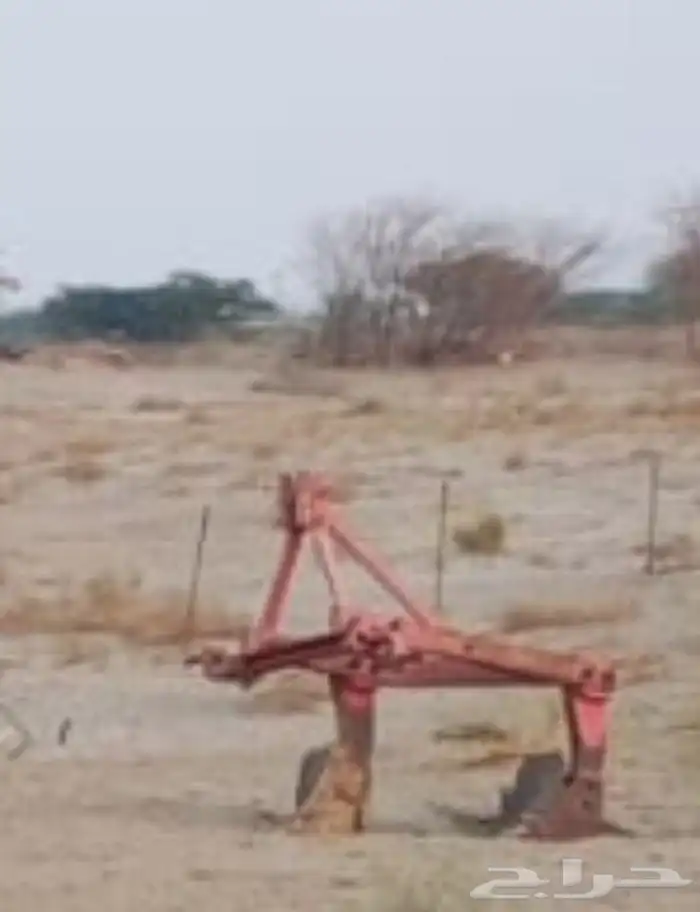 الليث غميقه 10