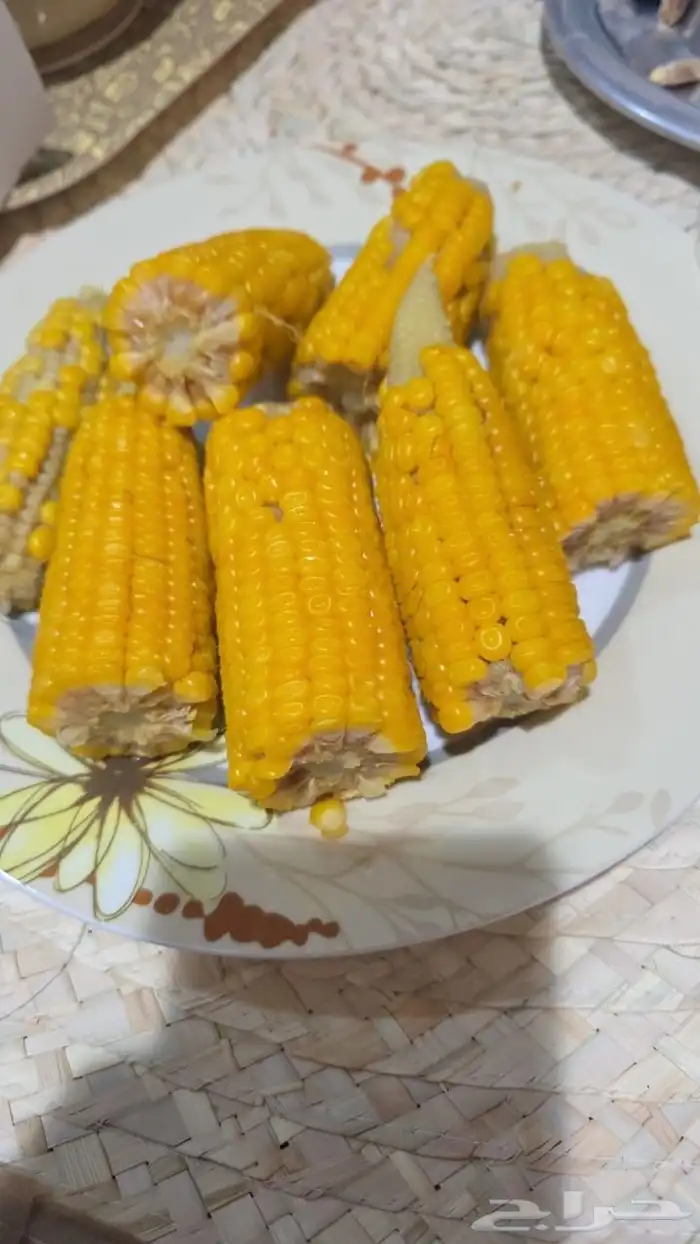 ذره شامي حب البيع بالطن 3