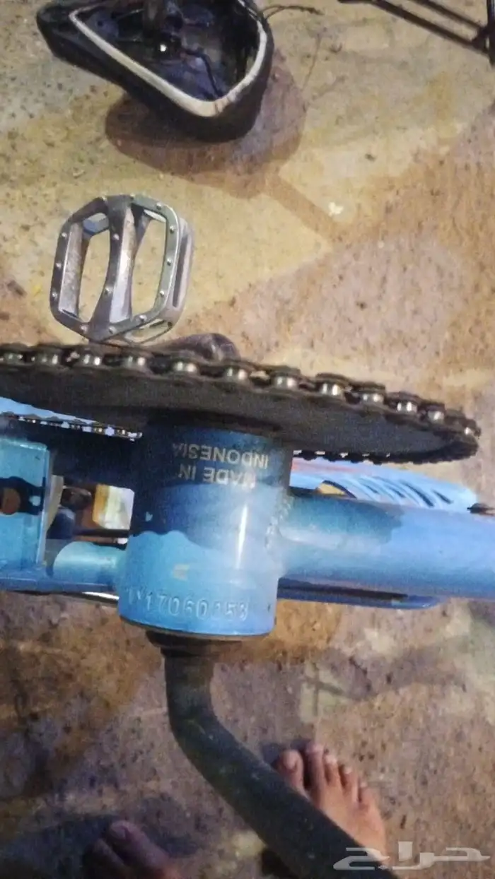 رامبو اصلي إندونيسي 0