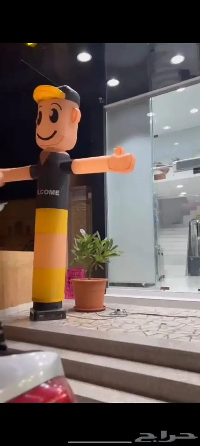 افتتاحات معارض 2