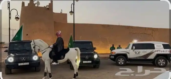 شركة حراسات أمنية 0