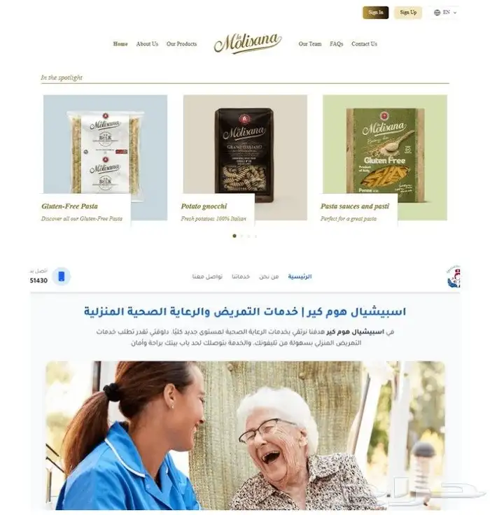 برمجة وتصميم صفحة هبوط عصرية متجاوبة بالكامل Landing Page 1