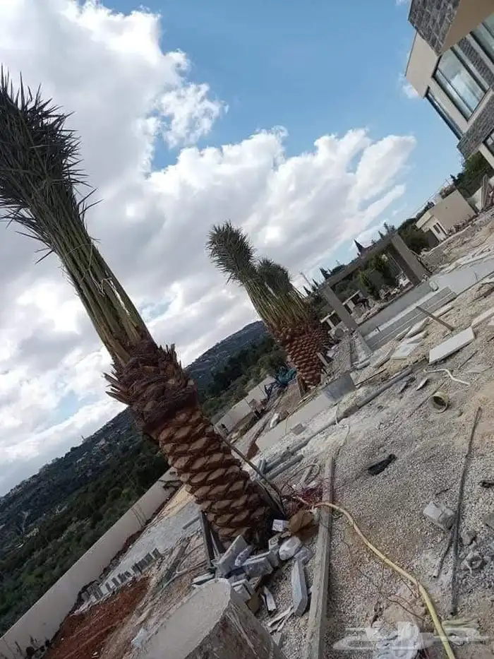 مشتل تنسيق الحدائق 2