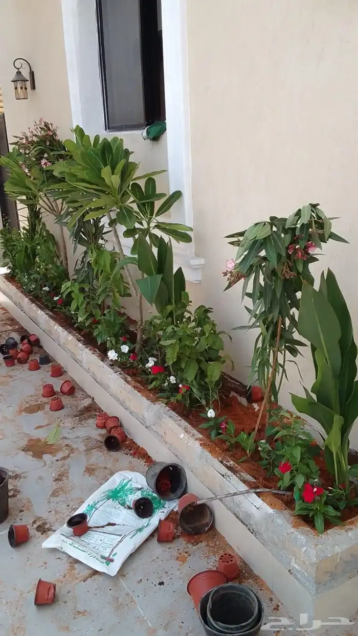 منسق حدائق وتركيب جميع شبكات الري العادي والاتمتك 7