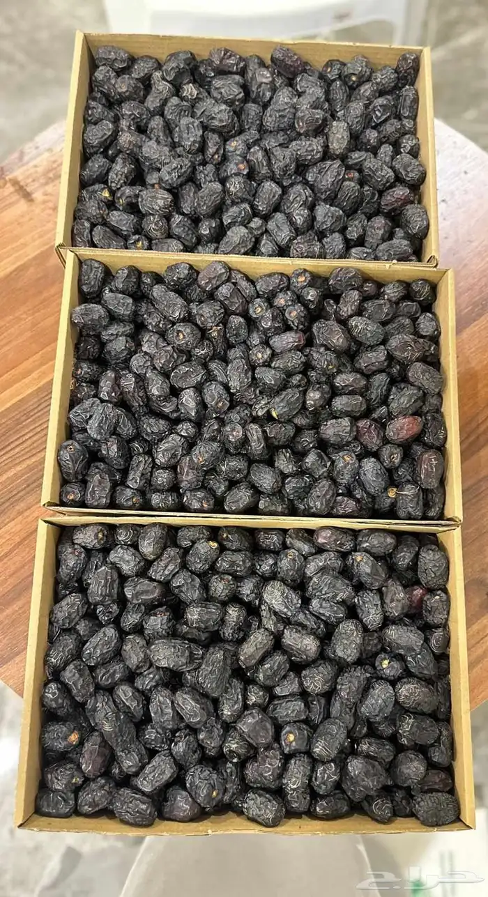 عجوة المدينة الفاخرة جامبو رقم (1) 2