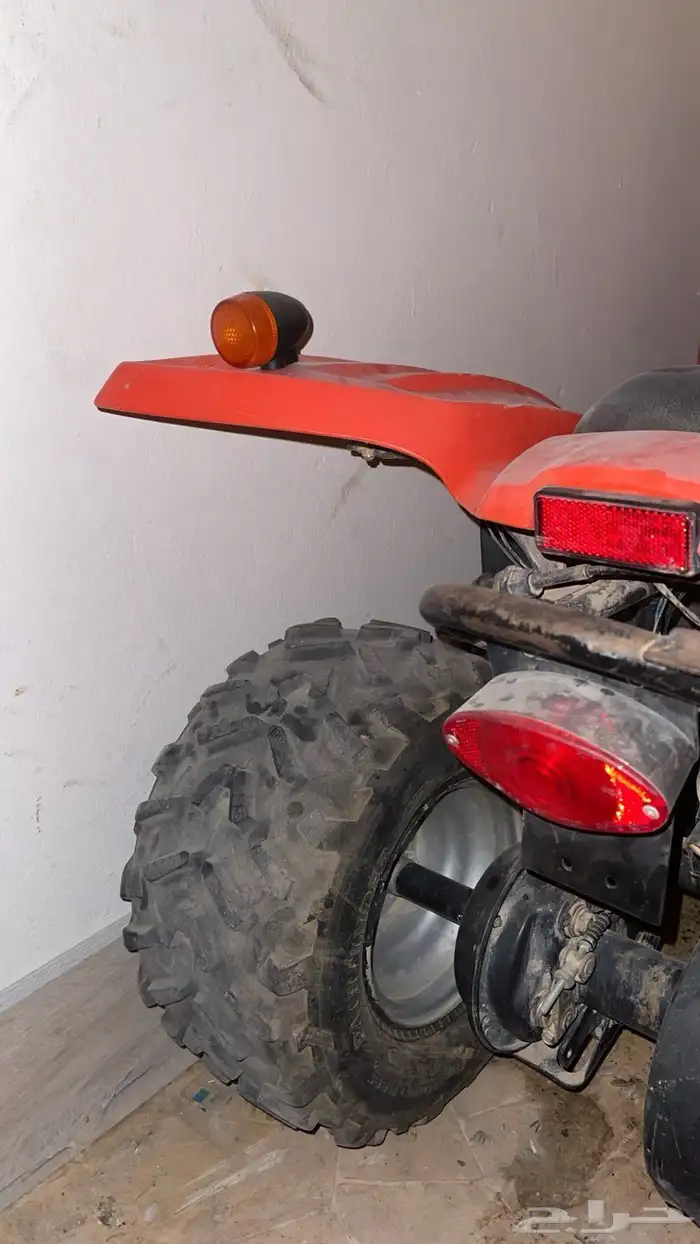 دباب تيواني ادلي مقاس 100 4