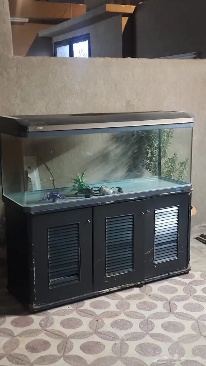 حوض السمك 0