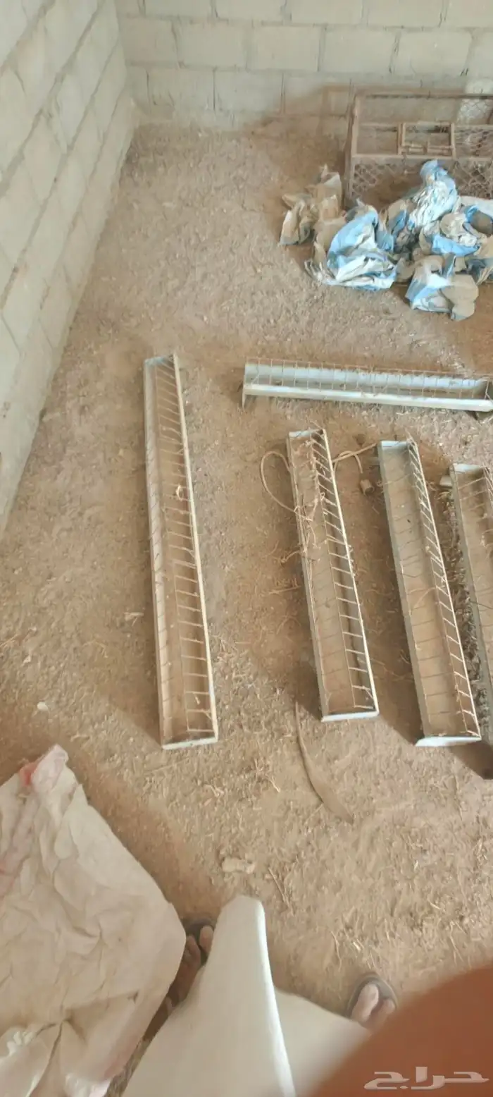 سقايات عياشات طيور للبيع 10