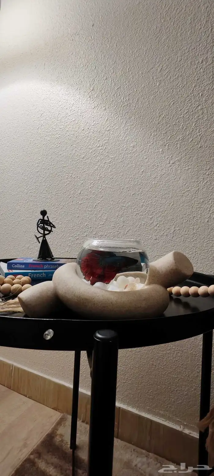 سمك فايتر ( زينة) 0