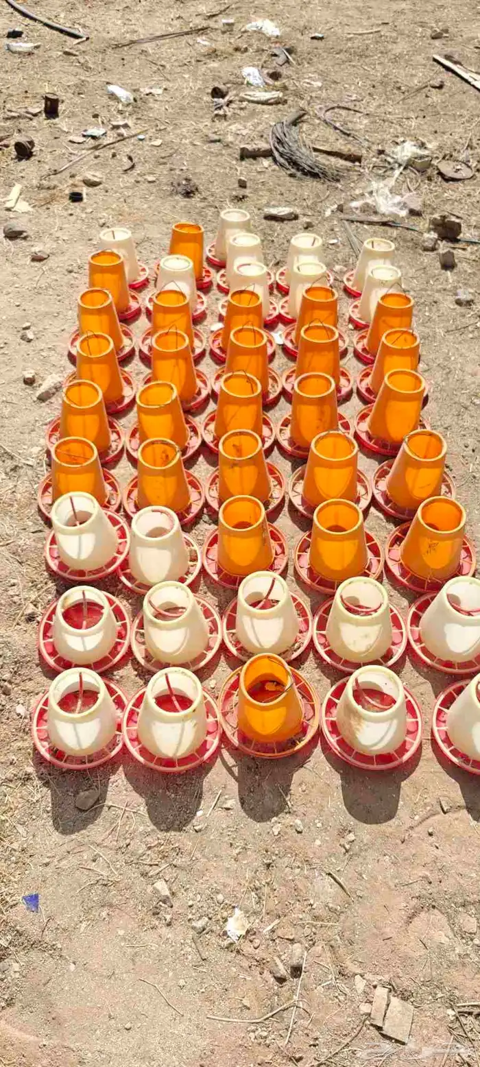 سقايات عياشات طيور للبيع 2