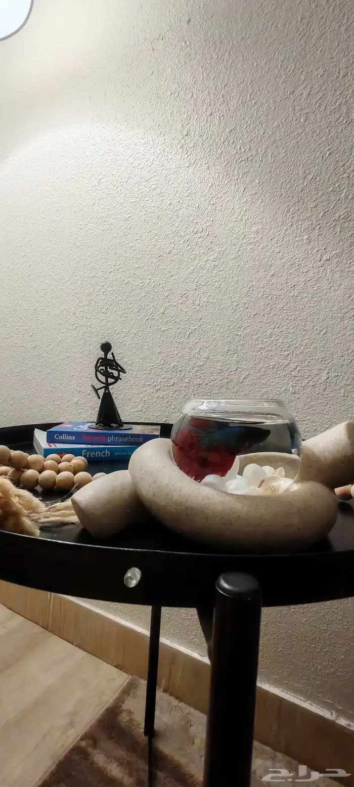 سمك فايتر ( زينة) 1