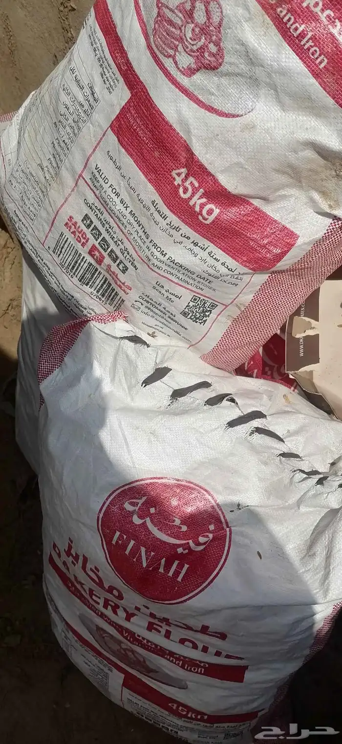 متوفر خبز يابس ونظيف للغنم - الكيس ب 10 2