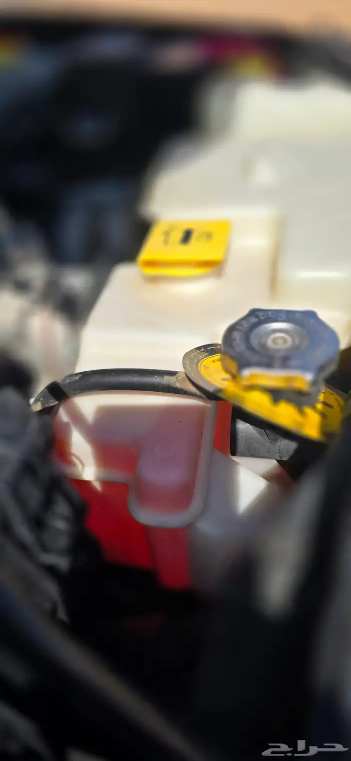 مخززن ونظيف 26