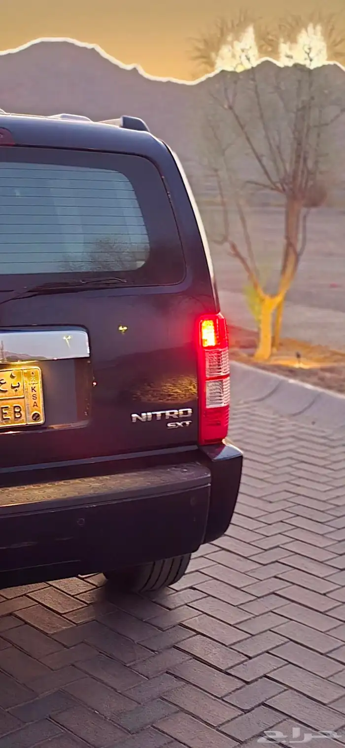 مخززن ونظيف 46