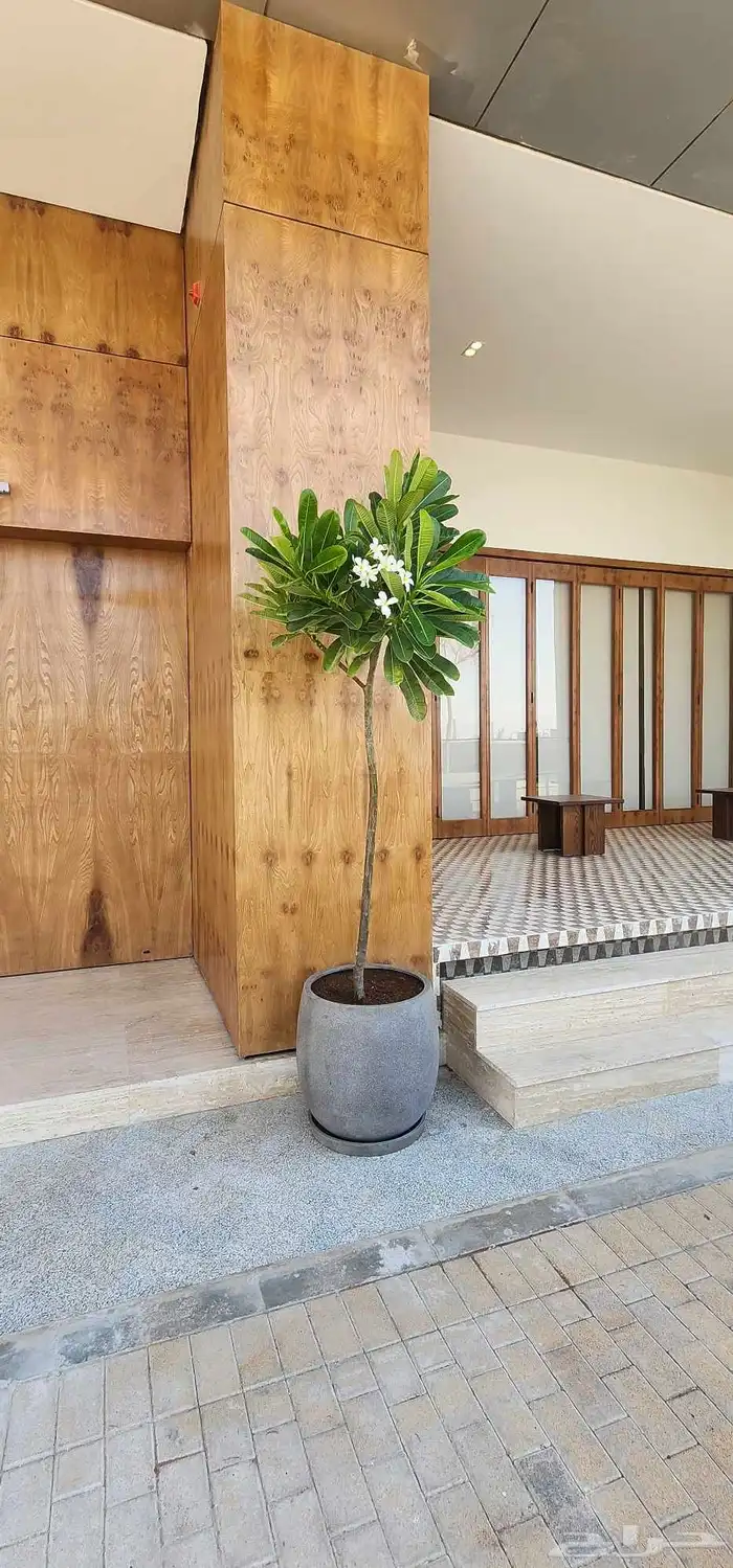 تنسيق حدائق وصيانتها وبيع وتوريد الثيل الطبيعي 6