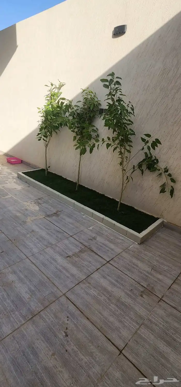 تنسيق حدائق وصيانتها وبيع وتوريد الثيل الطبيعي 5