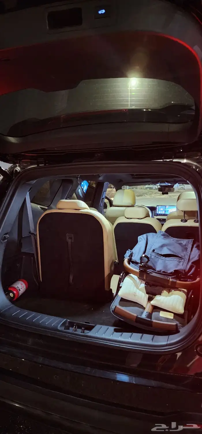 جيلي اوكافانقو 2024 0