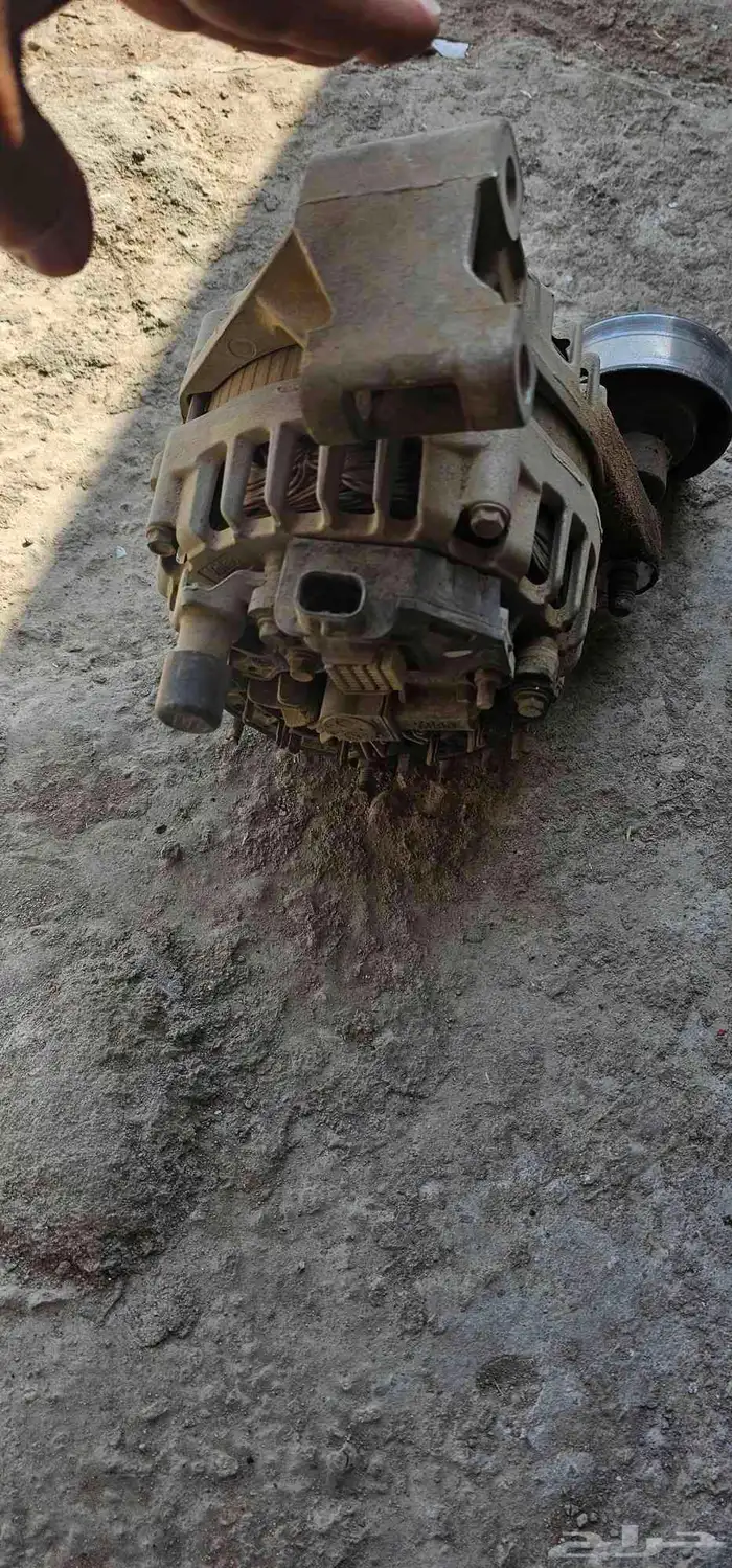 دينمو ماليبو 2013 وفوق 1