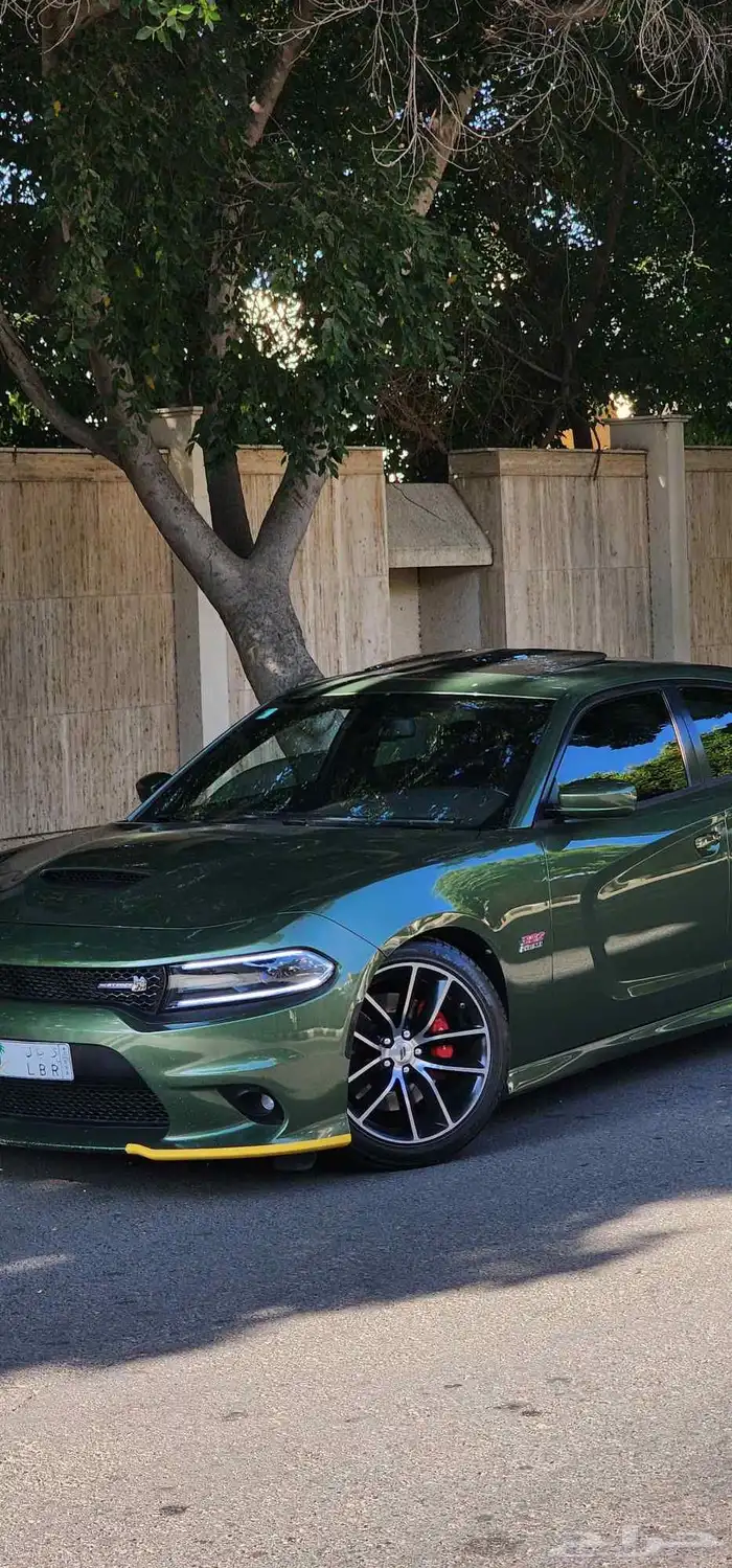 دودج تشارجر 2018 سكات باك 6.4 33