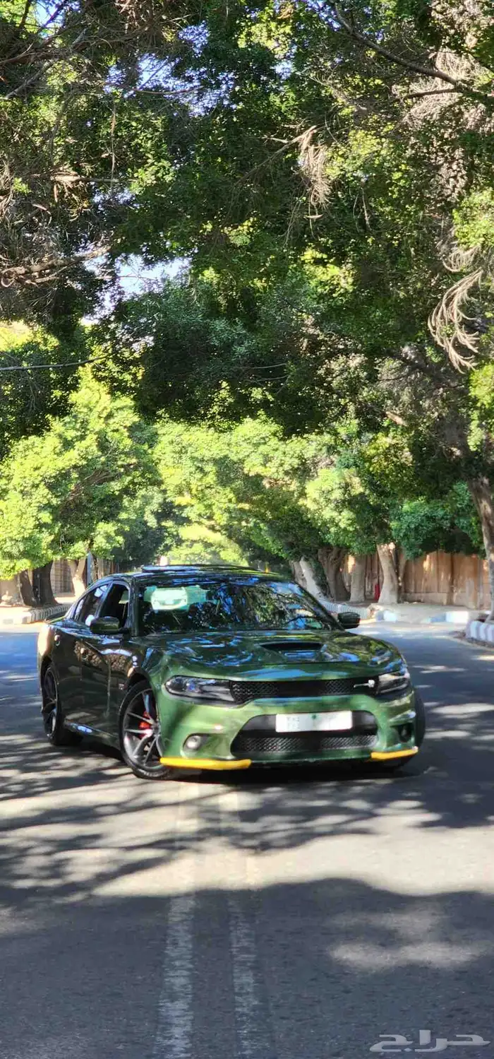 دودج تشارجر 2018 سكات باك 6.4 15