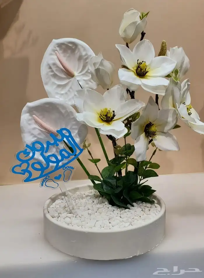 ورود طبيعيه با منسبه الافتاتح تخفيض 40 100 لا مده اسبوع 5