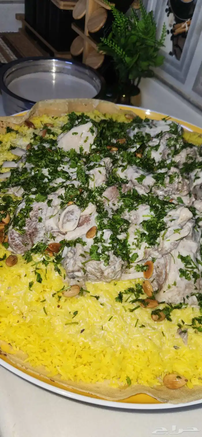 أسر منتجة محافظه العلا 2