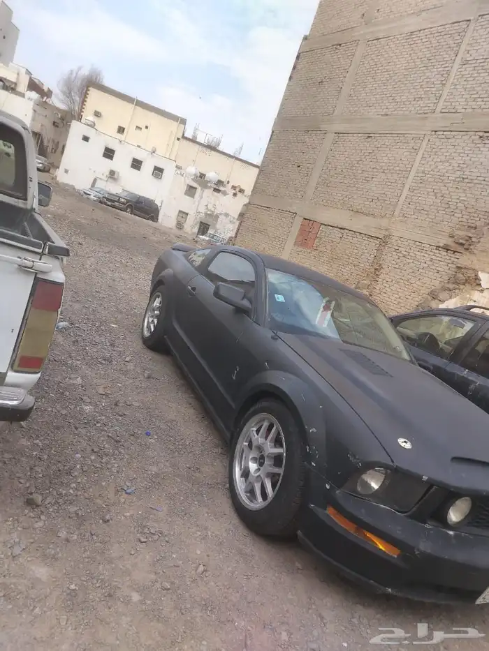 موستنج جيتي 2008 V8 قير عادي نظيفة 3