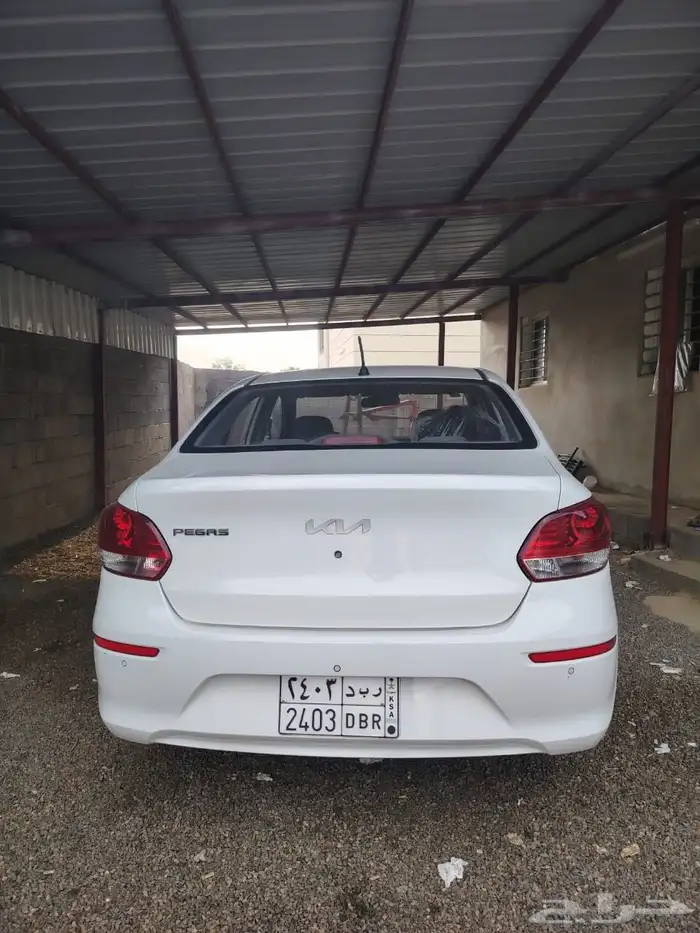 مفحوص مجدد بدي وكاله كامل قزازت الوكاله ثاني مالك ممشا 131 5