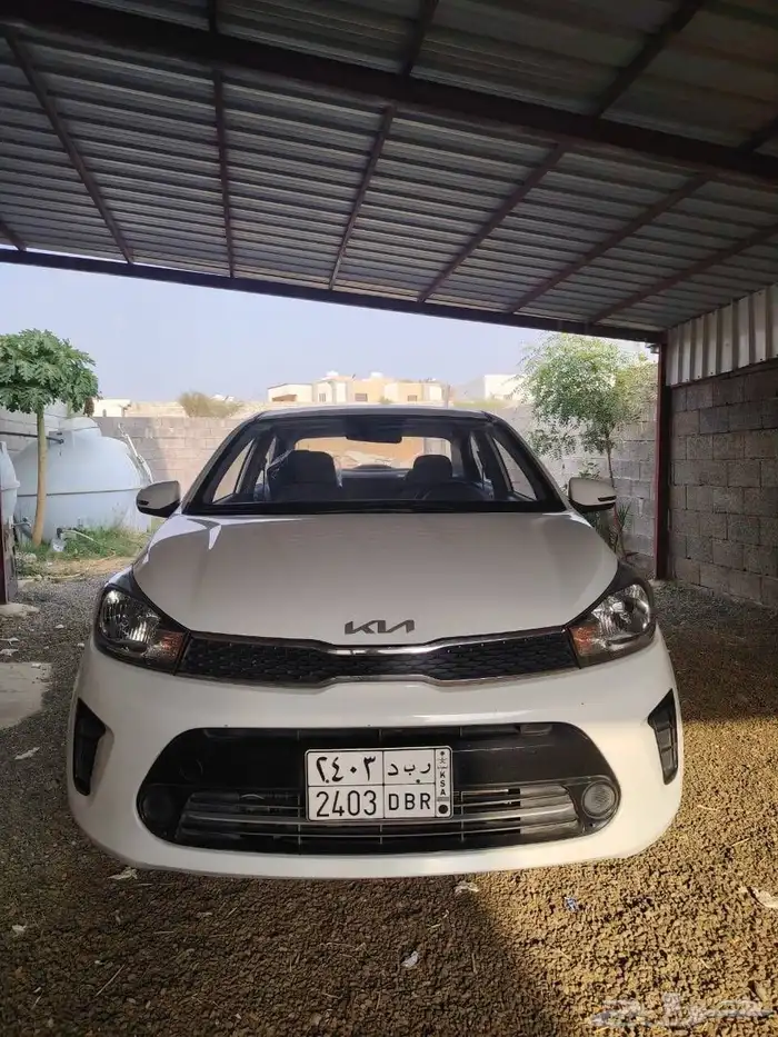 مفحوص مجدد بدي وكاله كامل قزازت الوكاله ثاني مالك ممشا 131 0