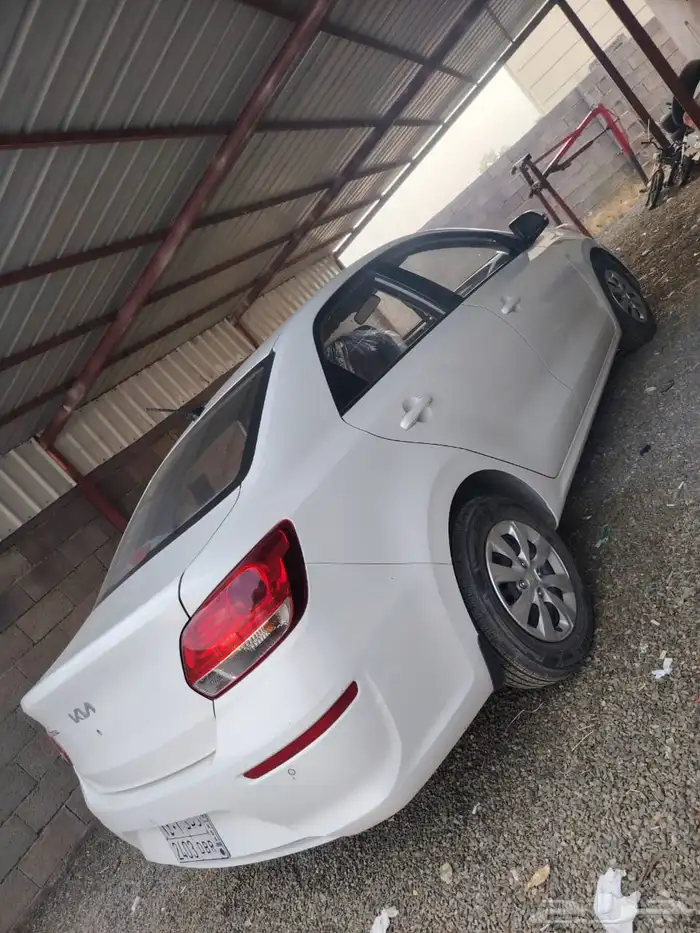 مفحوص مجدد بدي وكاله كامل قزازت الوكاله ثاني مالك ممشا 131 2