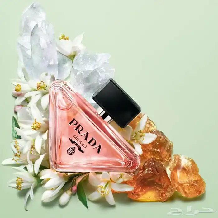 عطر برادا برادوكس نسائي ( الاصلي ) 0