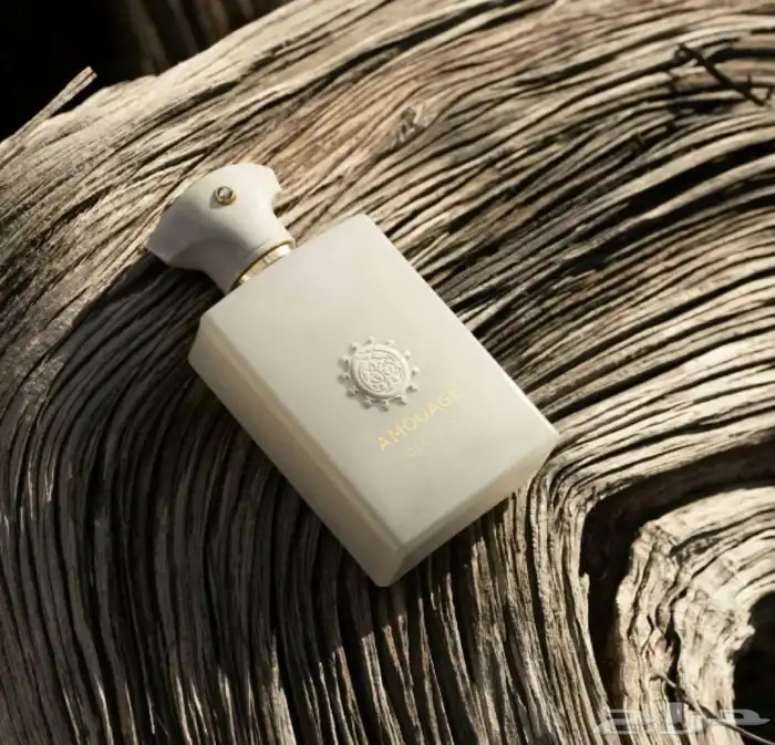 عطر امواج ديسيجن ( الاصلي ) 1