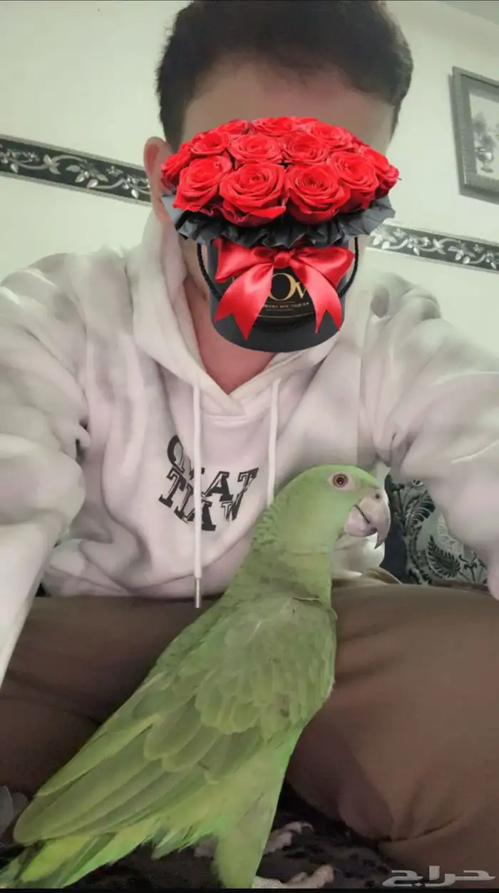 فرخ يلوناب بيور اليف ولعوب وهدد 1