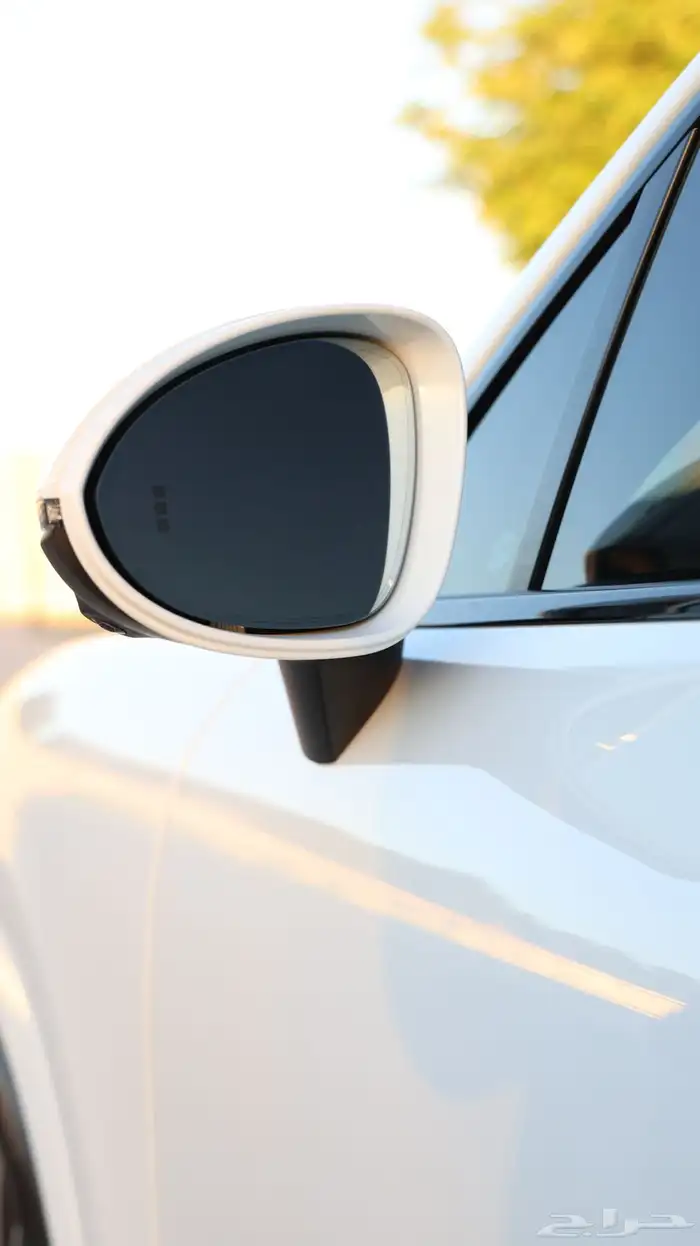 كوب Cayenne .. وكالة ( ضمان ) 6