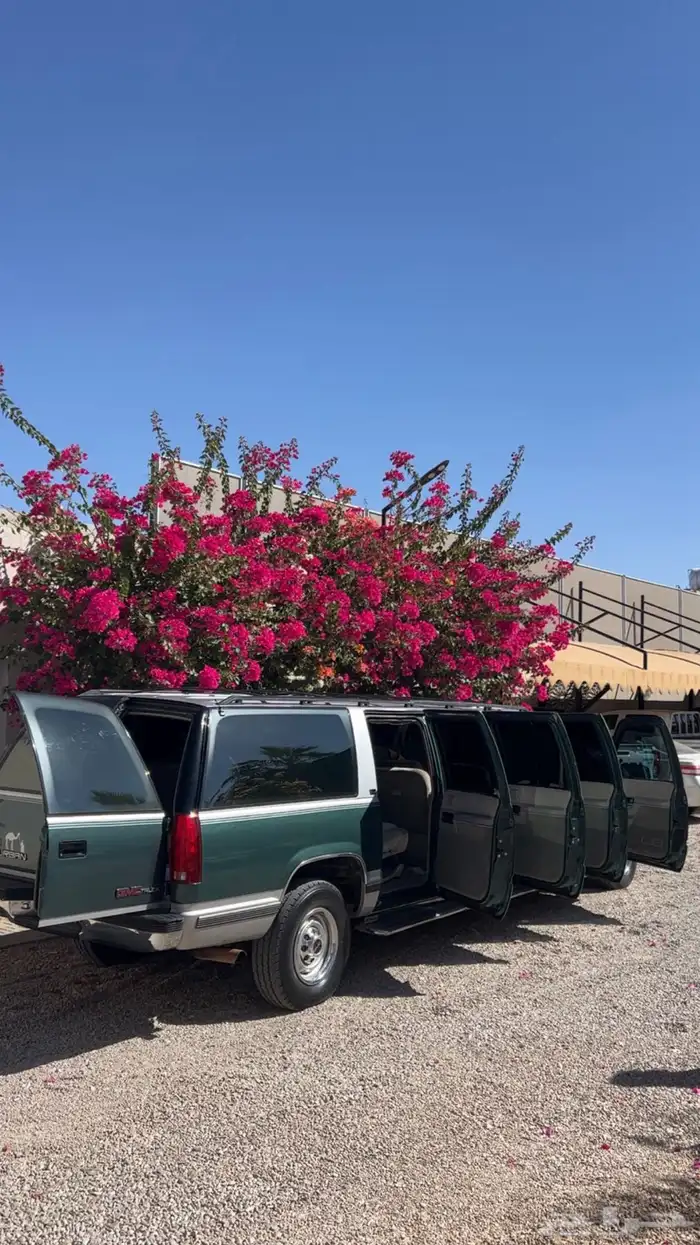 جمس ملكي ثمان ابواب مخزن طلبية خاصه مع لوحة مميزة 9