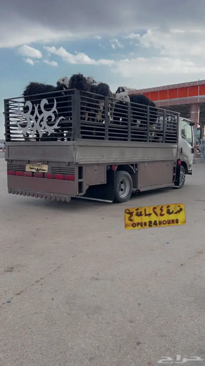 دينا طابقين الرياض 0