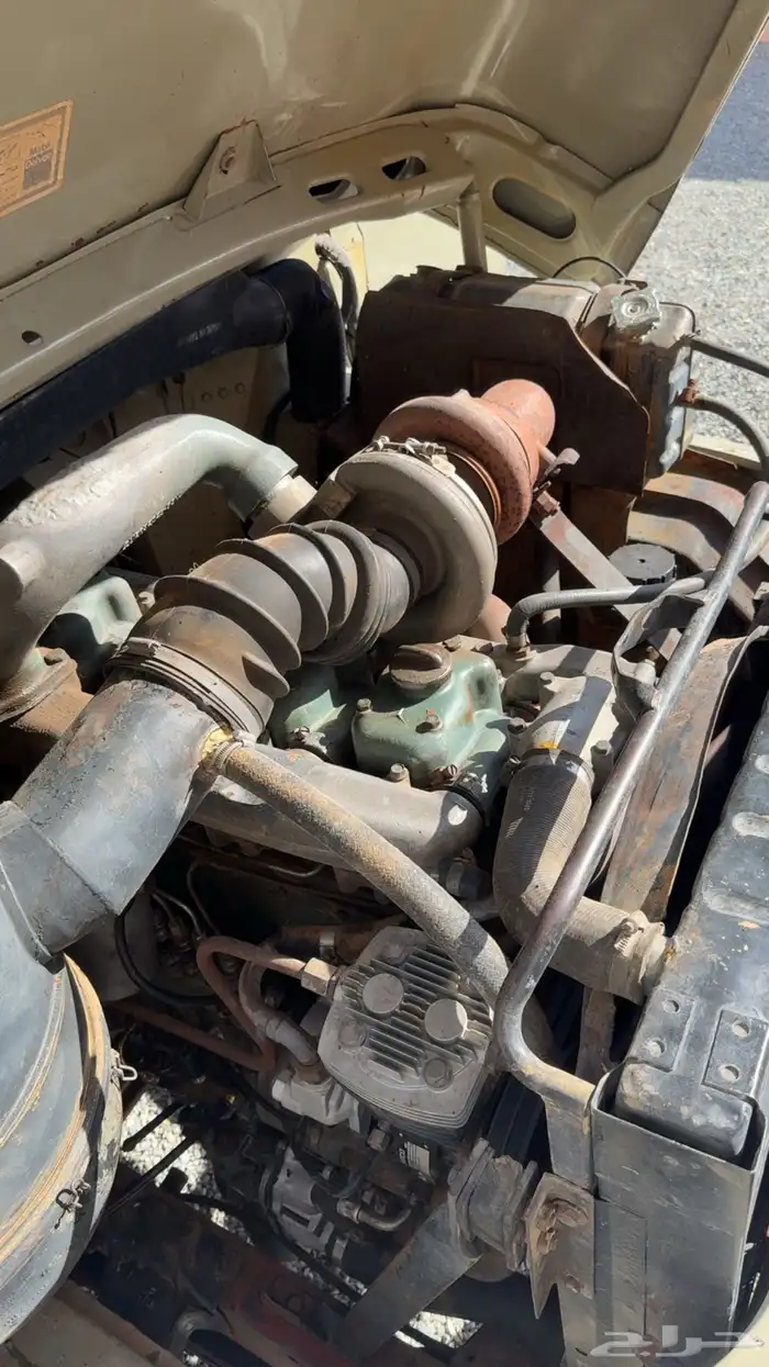 عايدي للبيع 3