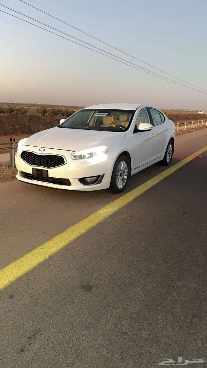 كادينزا 2014 0