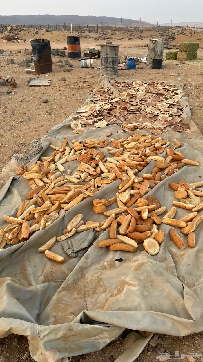 خبز ناشف مخلوط 2