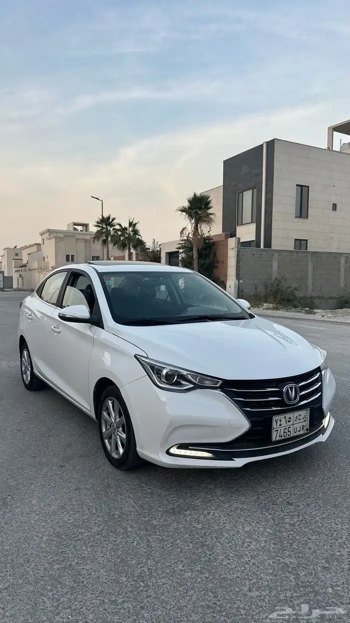 شانجان السفن 2023 0