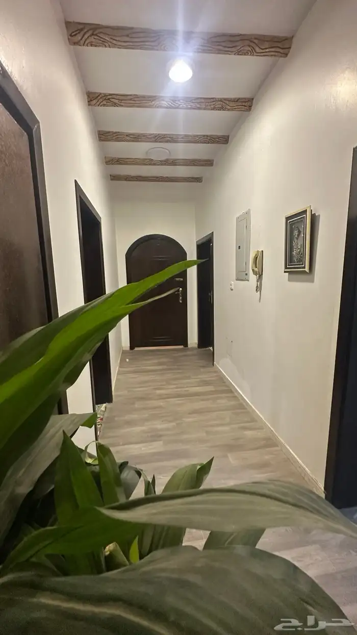 عرض الشتاء 8