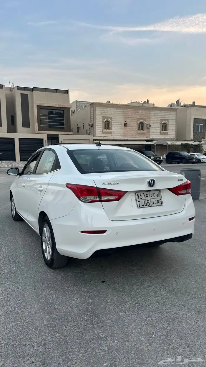 شانجان السفن 2023 3