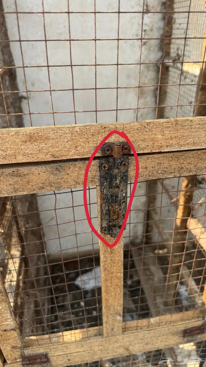 محاكر خشب للحمام 2